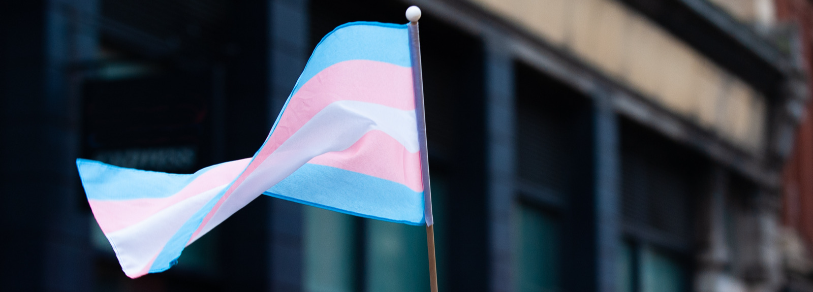 Image shows the transgender flag