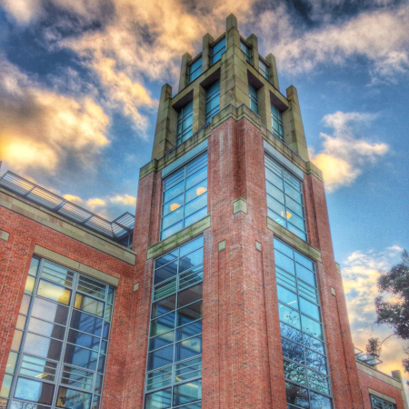 McClay Library Tower 