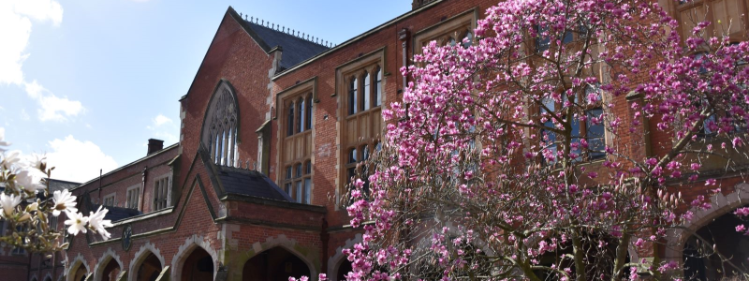 Blossom on a tree in the Quad