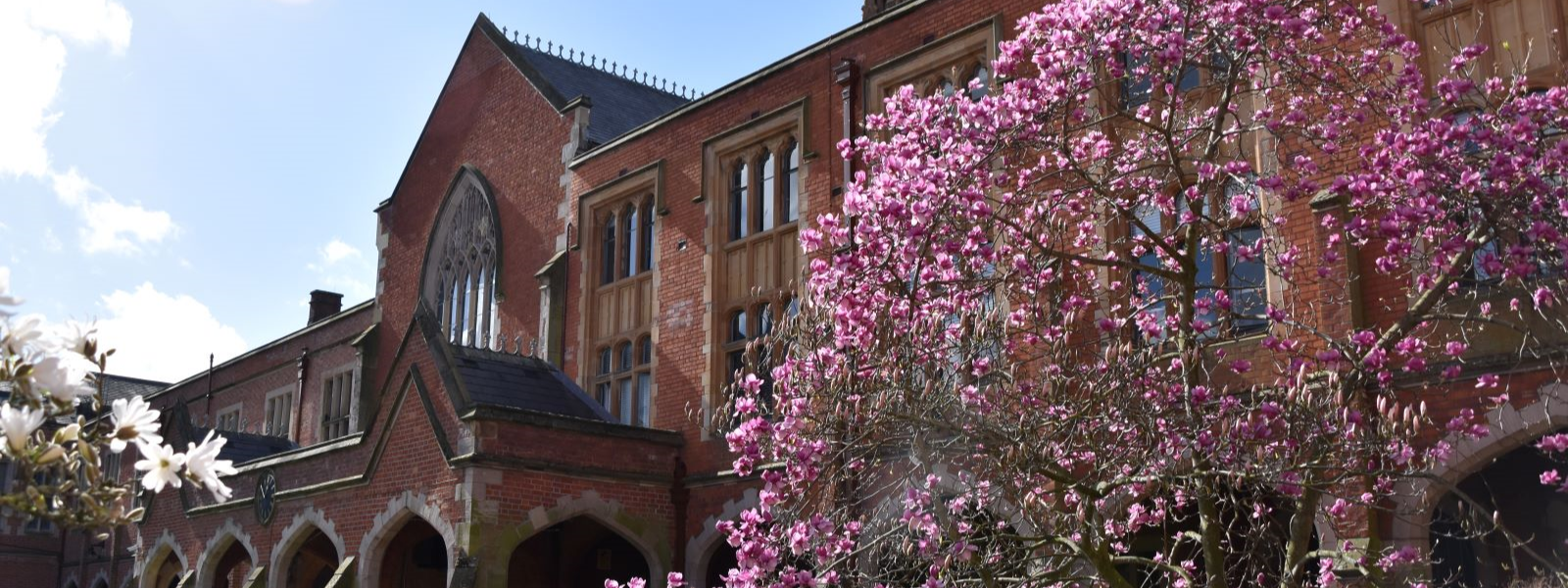 Blossom on a tree in the Quad