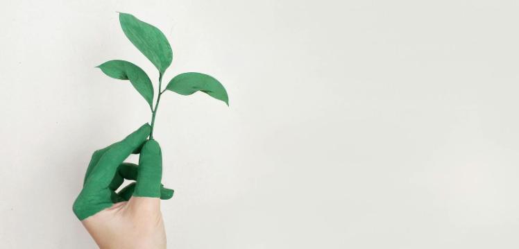 Hand painted green holding leaf