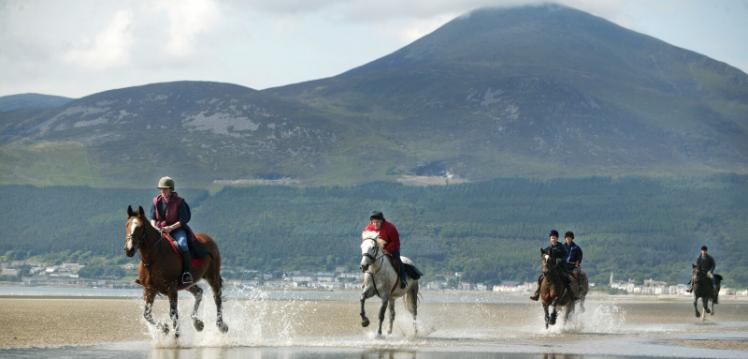 Horse riding on Newcastle beach