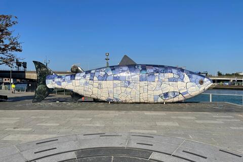 Big Fish in Belfast
