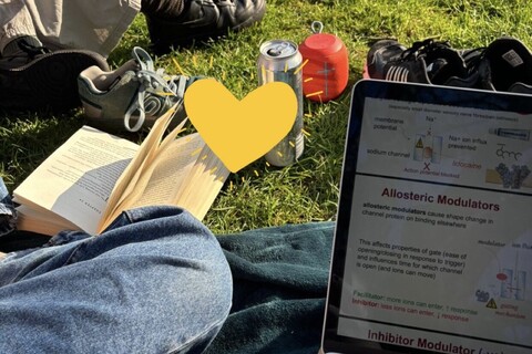 Student studying for OSCEs on laptop in Botanic Gardens