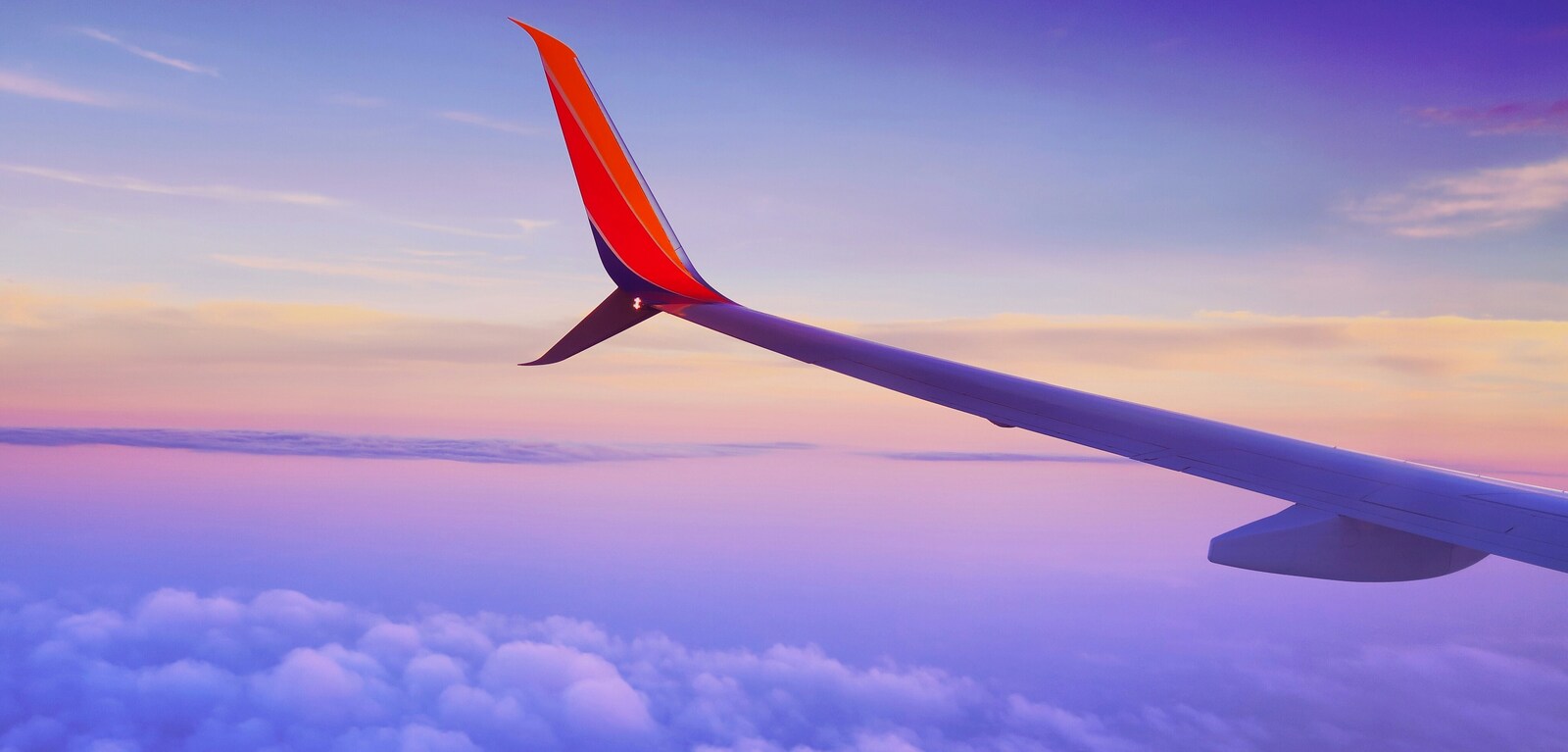 Plane wing