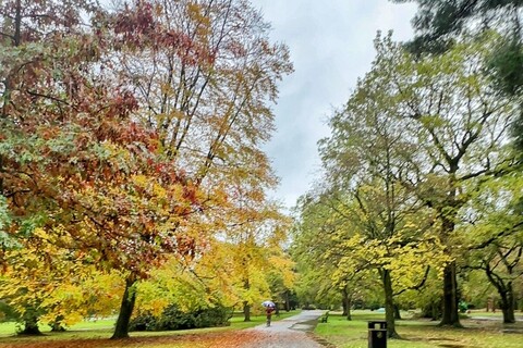 Ormeau Park