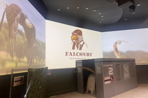 Falconry room in W5 Belfast