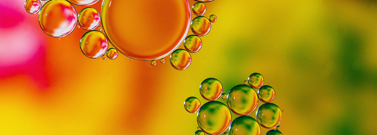 colourful oil droplets
