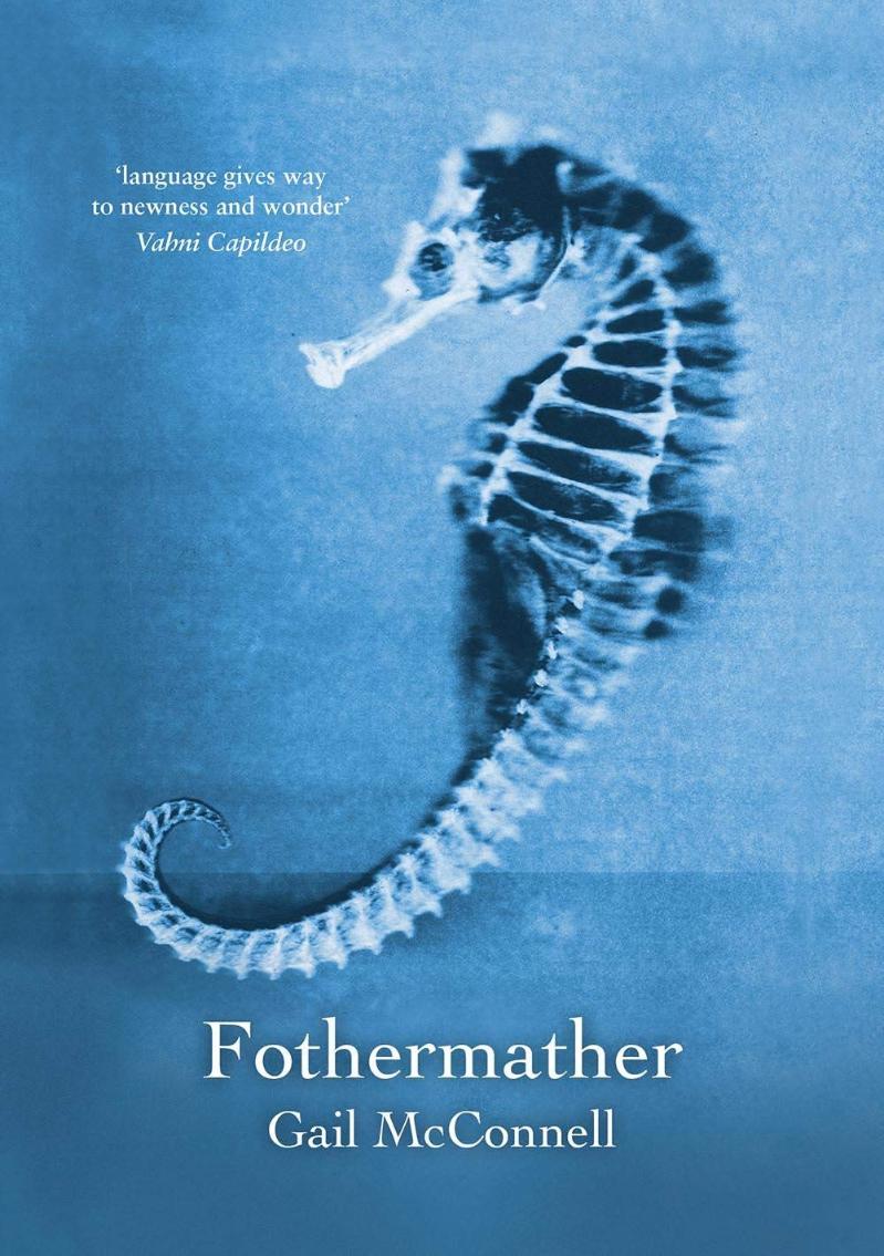 Cover of Fothermather